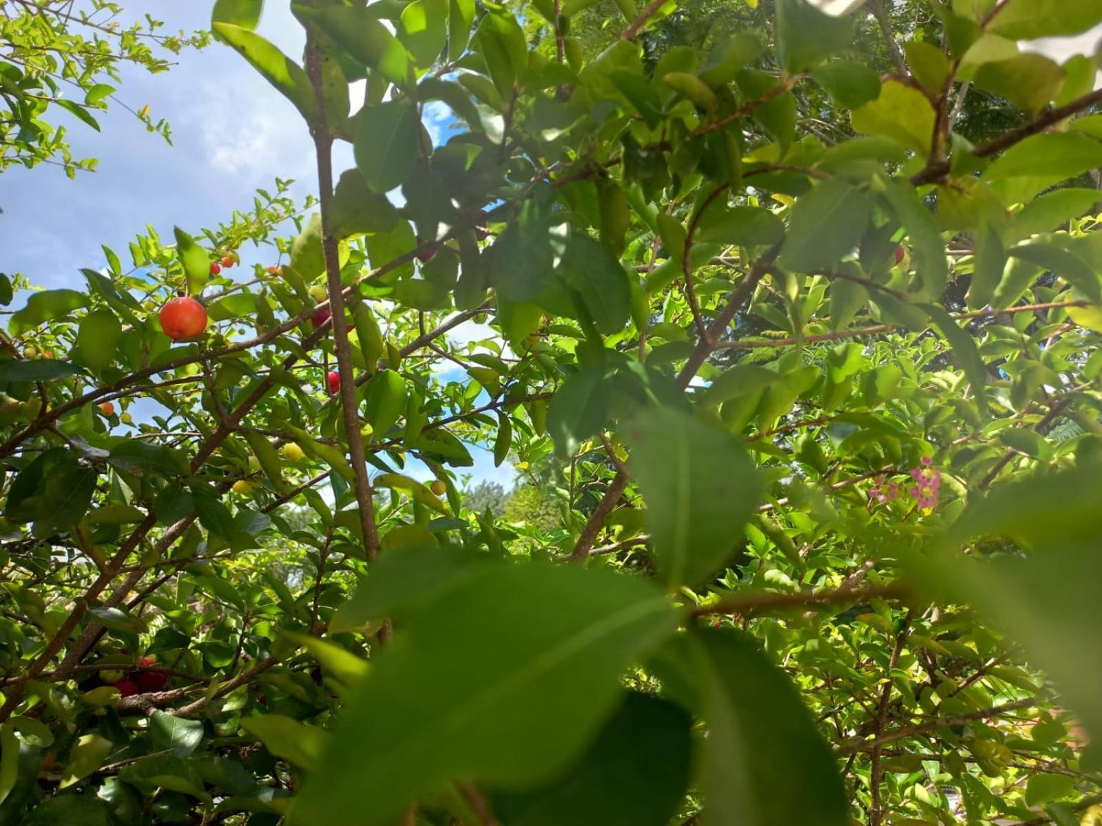 Comunidade Anuncia-Me Guaratinguetá Buitenkant foto
